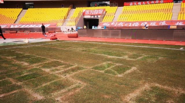 1650272323673022393.jpeg 99.jpeg